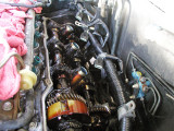 P7294161_Adobe.jpg