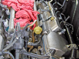 P7294194_Adobe_1024X768.jpg