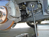 P1010095_adobe_1024X768.jpg
