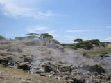 The streams that flow into the lake are extremely hot!  The locals bring corn on the cob and cook it right there on the steam!