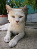 100-0043_IMG.JPG