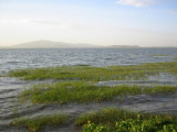 Lake Awassa