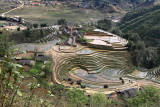 Landscape in SaPa /  Terraced fields in Sa Pa