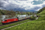 Train along Rotsee