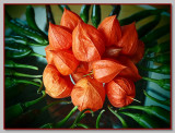 Decoration on the living table