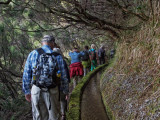 Hiker on the path of a levada