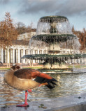 Brunnen in ehemaliger Residenz der Herzge von Nassau