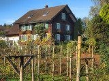 Farmer house in autumn