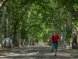 Park waking in Madrid