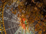 Autumn market and the ferris wheel