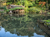 Kasumi Pond, November