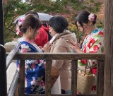 modern Japanese in their traditional costumes