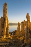 Tufa Columns