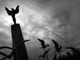 Spirit of Flight