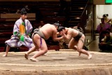 sumo