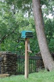 Squirrel on Birdfeeder Post