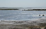 Tidal Water Now Flows Into Marsh