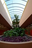 Skylight and Planter with Purple