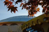 Dome, Gold Balls and Leaves
