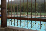 IVC Pool