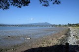 Mt. Tam From the Shade