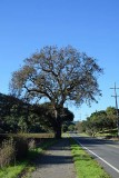 Tree By Path