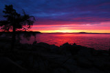 SUNRISE - ACADIA N.P.