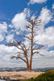 BRYCE CANYON NATIONAL PARK, UTAH