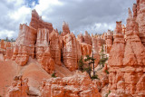 BRYCE CANYON NATIONAL PARK, UTAH