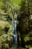 SILVER THREAD FALLS