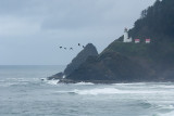 HECETA HEAD LIGHTHOUSE