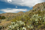 CARLSBAD CAVERNS