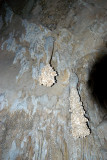 LIONS TAIL STALACTITE