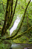 BRIDAL VEIL FALLS