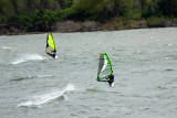 WINDSURFERS