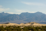 MESQUITE SAND DUNES