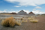 PETRIFIED FOREST/PAINTED DESERT