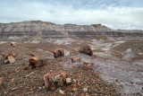 PETRIFIED FOREST/PAINTED DESERT