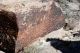 NEWSPAPER ROCK