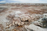 PETRIFIED FOREST/PAINTED DESERT