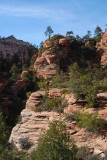 ZION N.P.