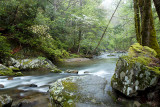 041205-SMOKIES-139.jpg
