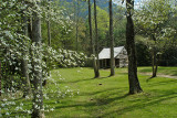 CARTER SHIELDS CABIN IN CADES COVE