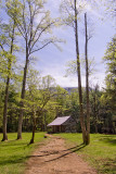 CARTER SHIELDS CABIN, CADES COVE, SMOKY MOUNTAIN N.P.