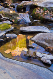 103107-SMOKIES-139.jpg