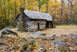 ROARING FORK CABIN