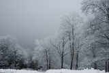 120603-SMOKIES-016.jpg