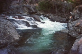 THE SINKS