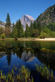 HALF DOME