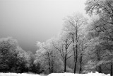 SMOKY MOUNTAIN N.P., TENNESSEE/NORTH CAROLINA